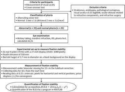 Quantitative Evaluation of the Association Between Fixation Stability and Phoria During Short-Term Binocular Viewing